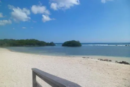 Studio Zara Lägenhet Savaneta Aruba