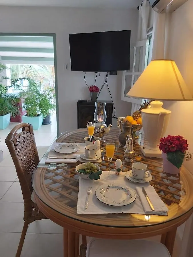 Studio Zara Apartment Savaneta