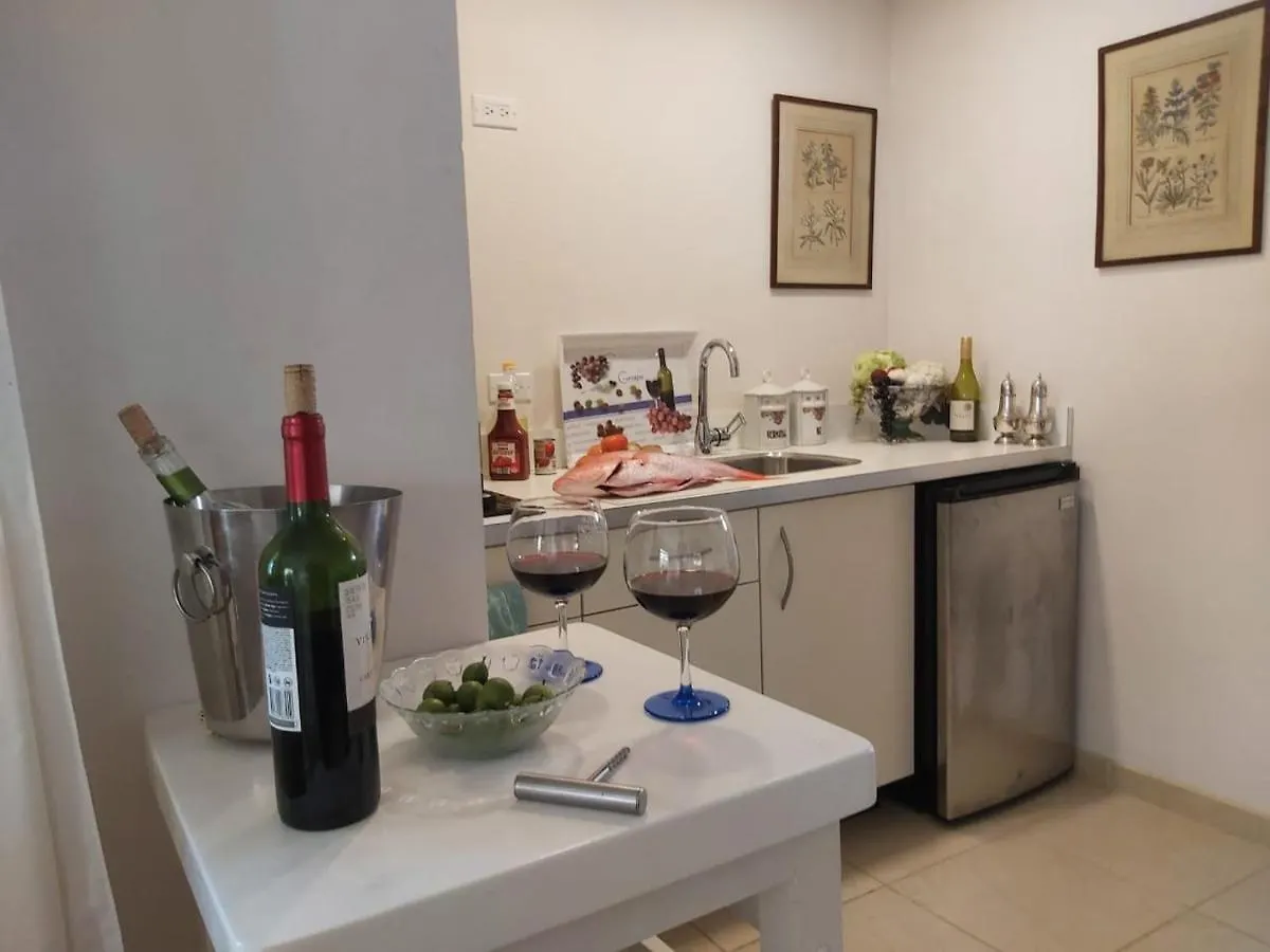 Studio Zara Apartment Savaneta